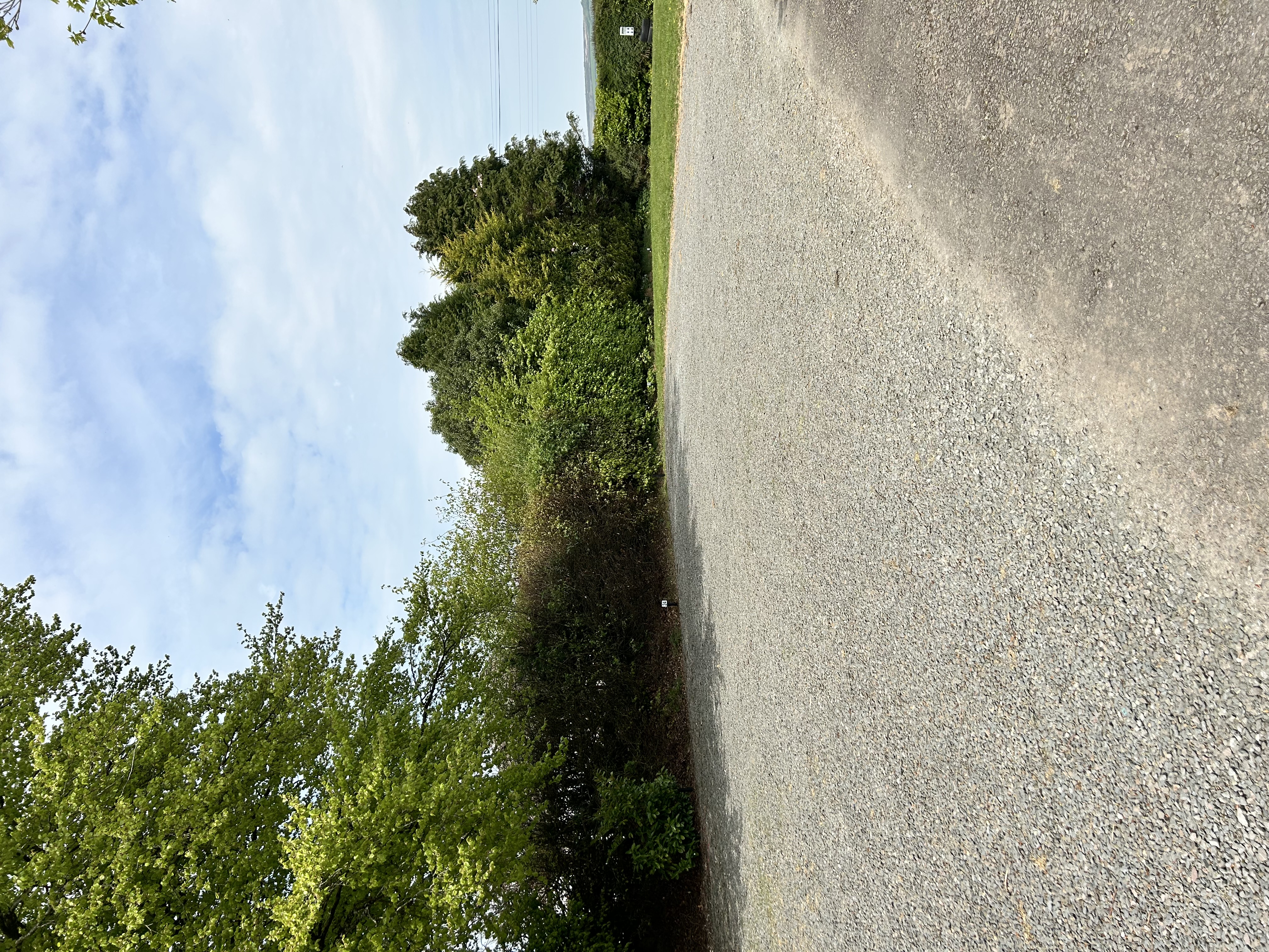 Zeacombe House Caravan Park